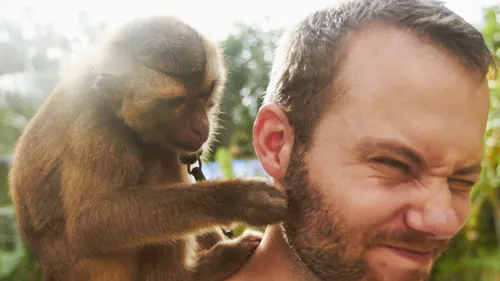 La variole du singe détectée chez un américain: risque-t-on une...